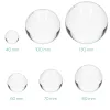 Glob de sticla cu sport Navaris pentru fotografii/ decor, 70 mm, 42863