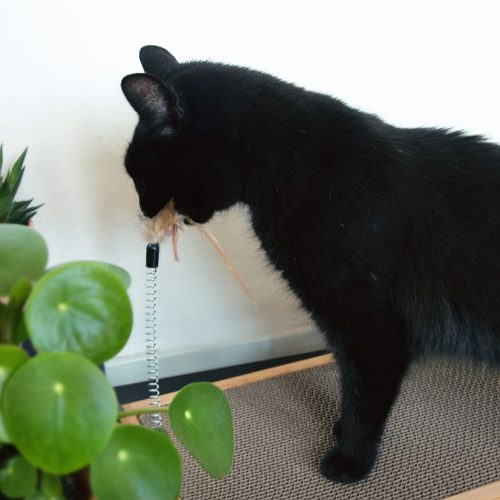 Set 2 placi de zgariat si jucarie cu pana Navaris, pentru pisici, carton, maro, 46754.03