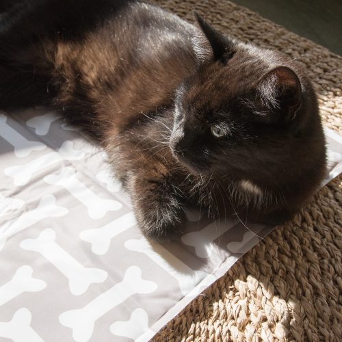 Covor cu gel racoritor pentru animale de companie Navaris, 50 x 90 cm, 51240.2