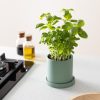 Set 2 ghivece pentru plante Navaris, ceramica, 17 cm si 11 cm, cu farfurii, 56332.3.07