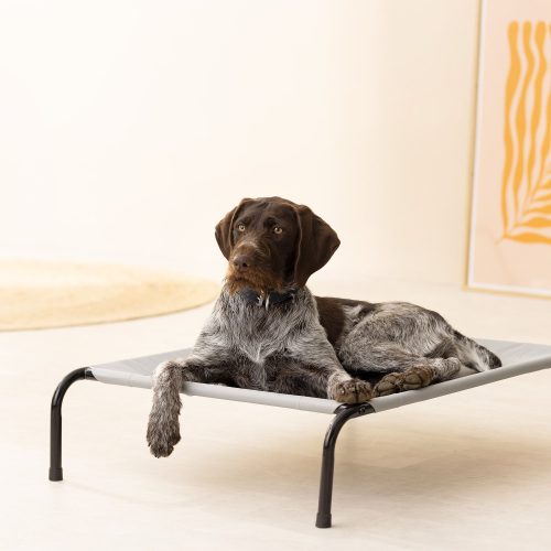 Pat inaltat racoritor pentru caini Navaris pana la 25 kg, 91 x 65 cm, 56887.25.2