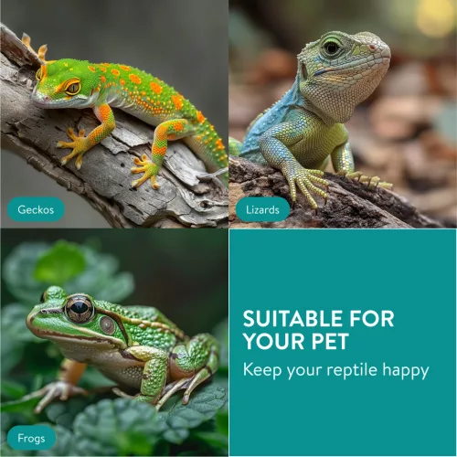 Castron hrana reptile Navaris, pentru serpi, gecko, soparle, broaste, NAV000025VM001C