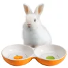 Castron dublu Navaris anti-varsare pentru animale mici, ceramica, NAV000013SF002C